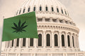 These U.S. States Are Voting on Legal Cannabis in 2022 Elections