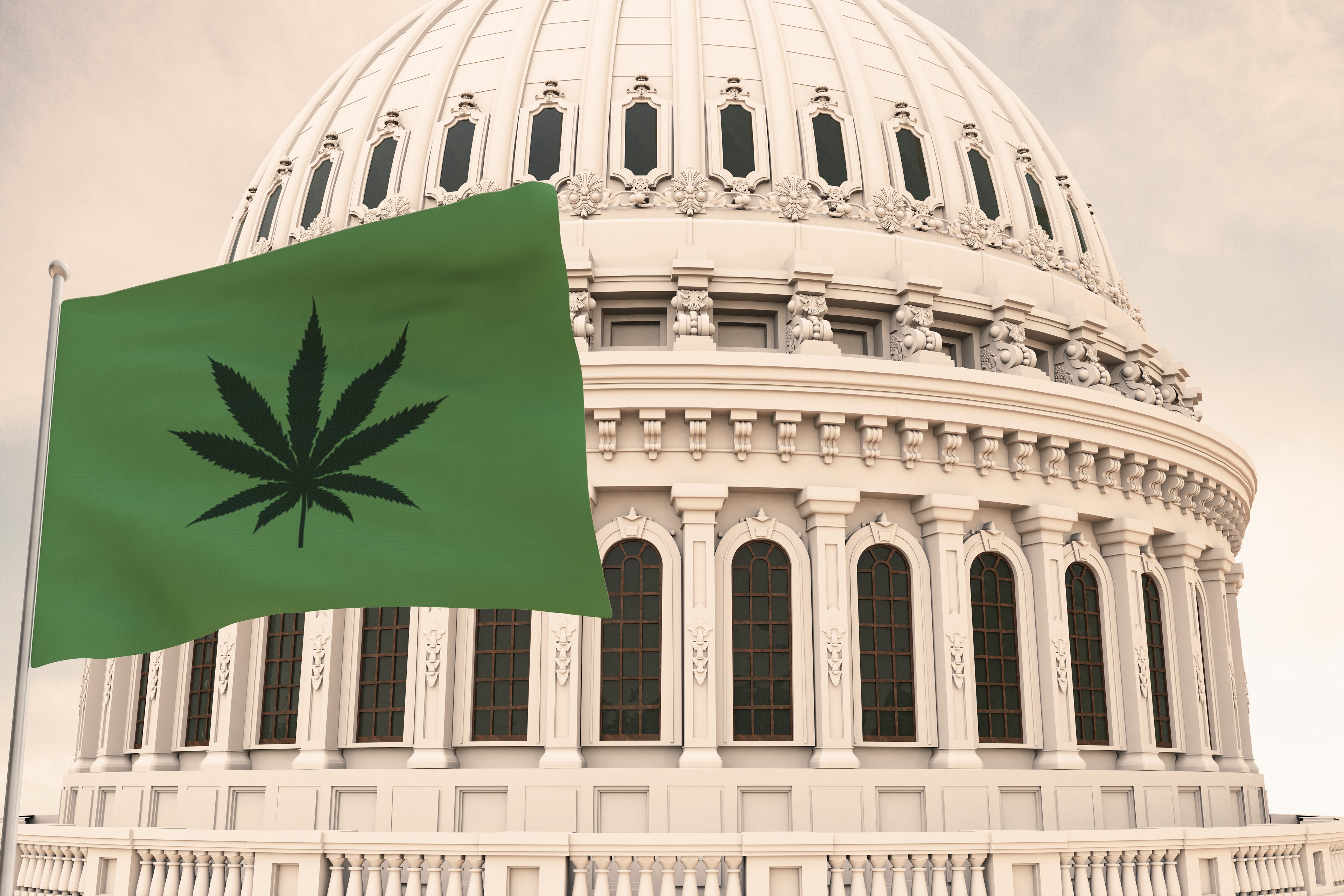 These U.S. States Are Voting on Legal Cannabis in 2022 Elections