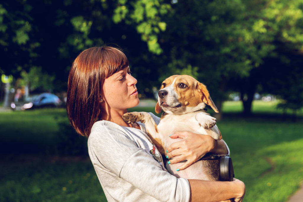 Tips for Safe, Eco-Friendly Pet Waste Management