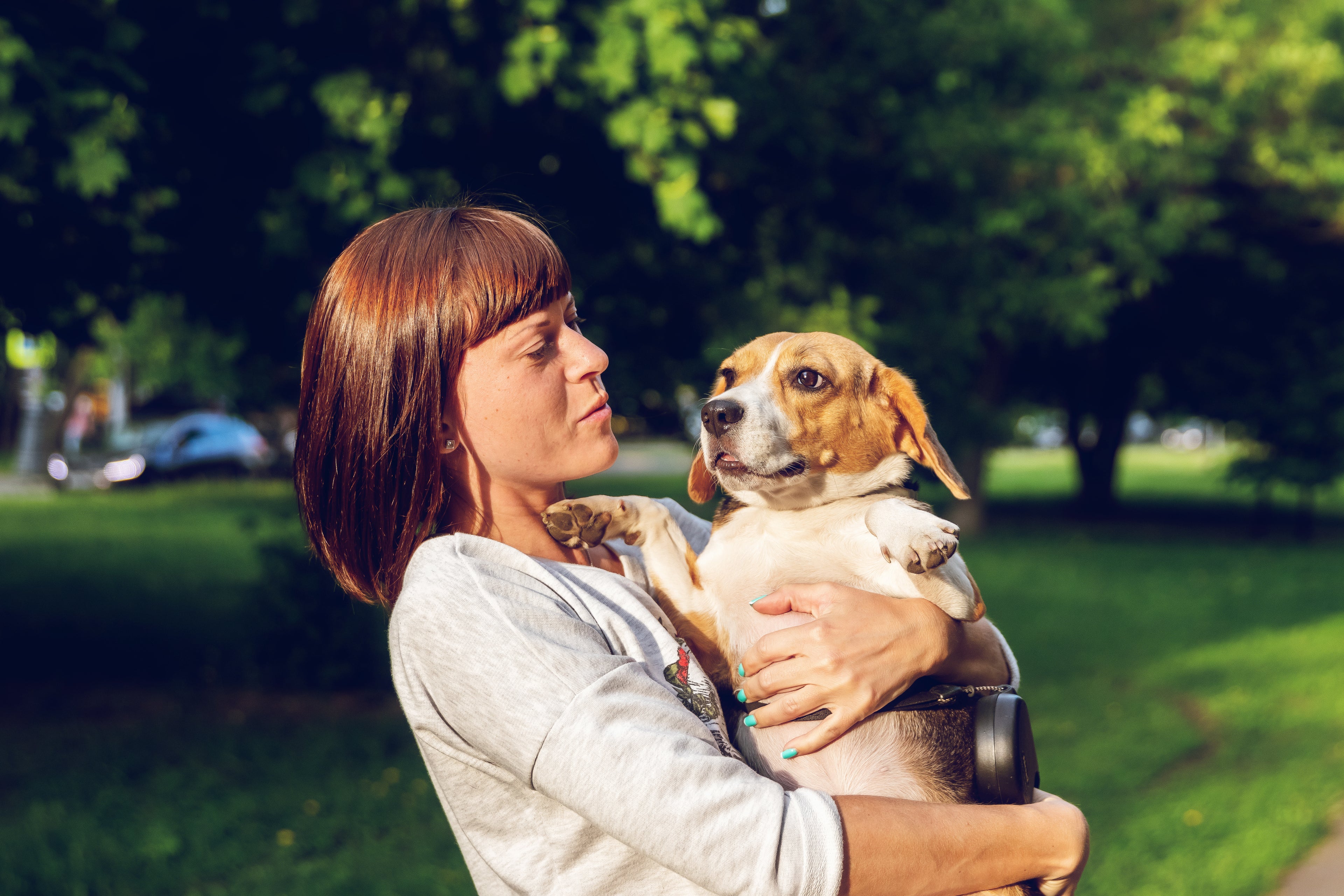 Tips for Safe, Eco-Friendly Pet Waste Management