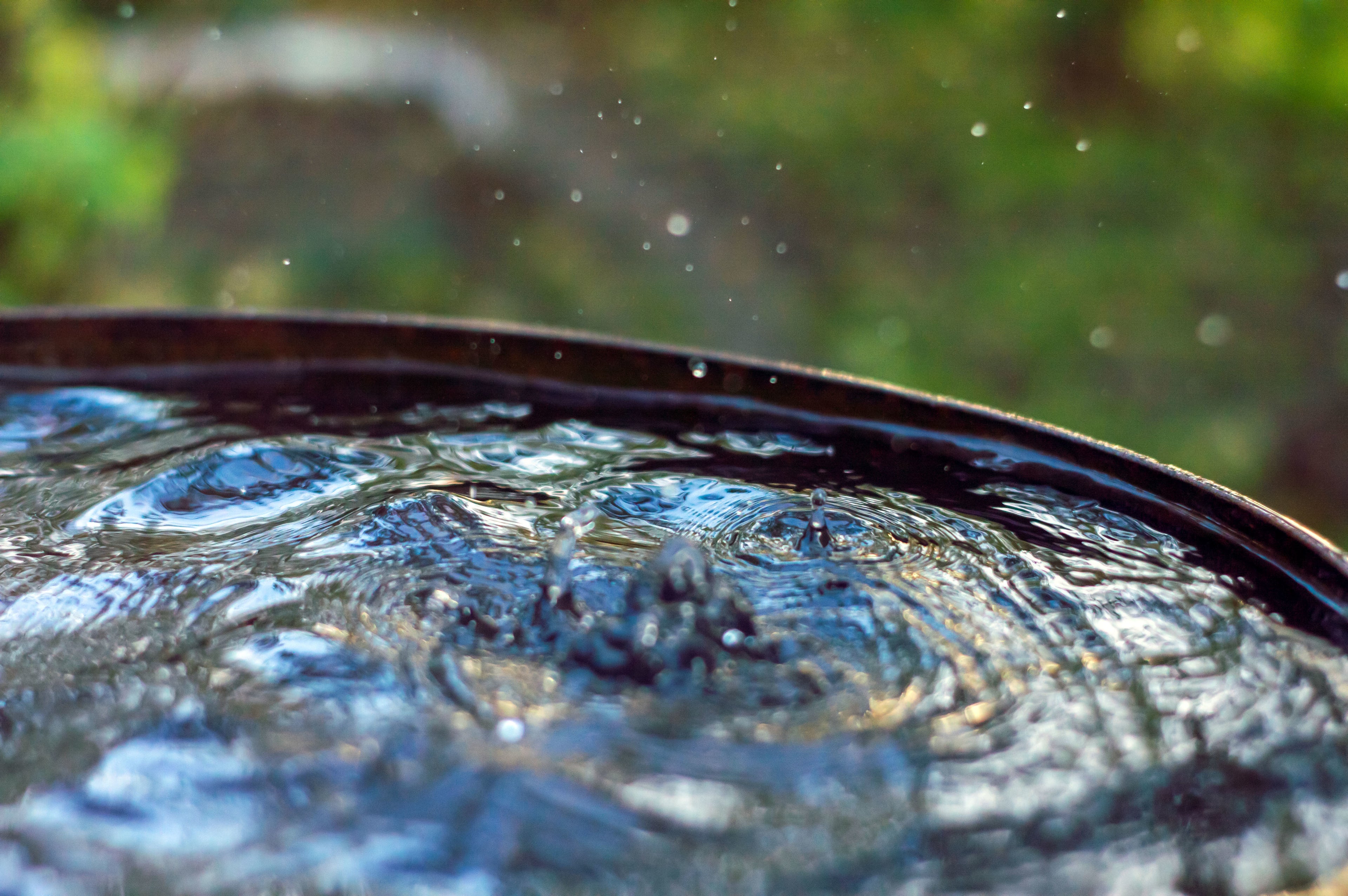 Top Reasons Why You Should Start Using a Rain Barrel