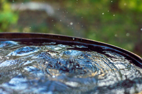 Top Reasons Why You Should Start Using a Rain Barrel