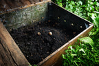 Turn Dog Waste into Compost with These Tips