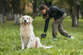 Turn Dog Waste into Compost with These Tips