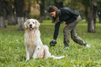Turn Dog Waste into Compost with These Tips