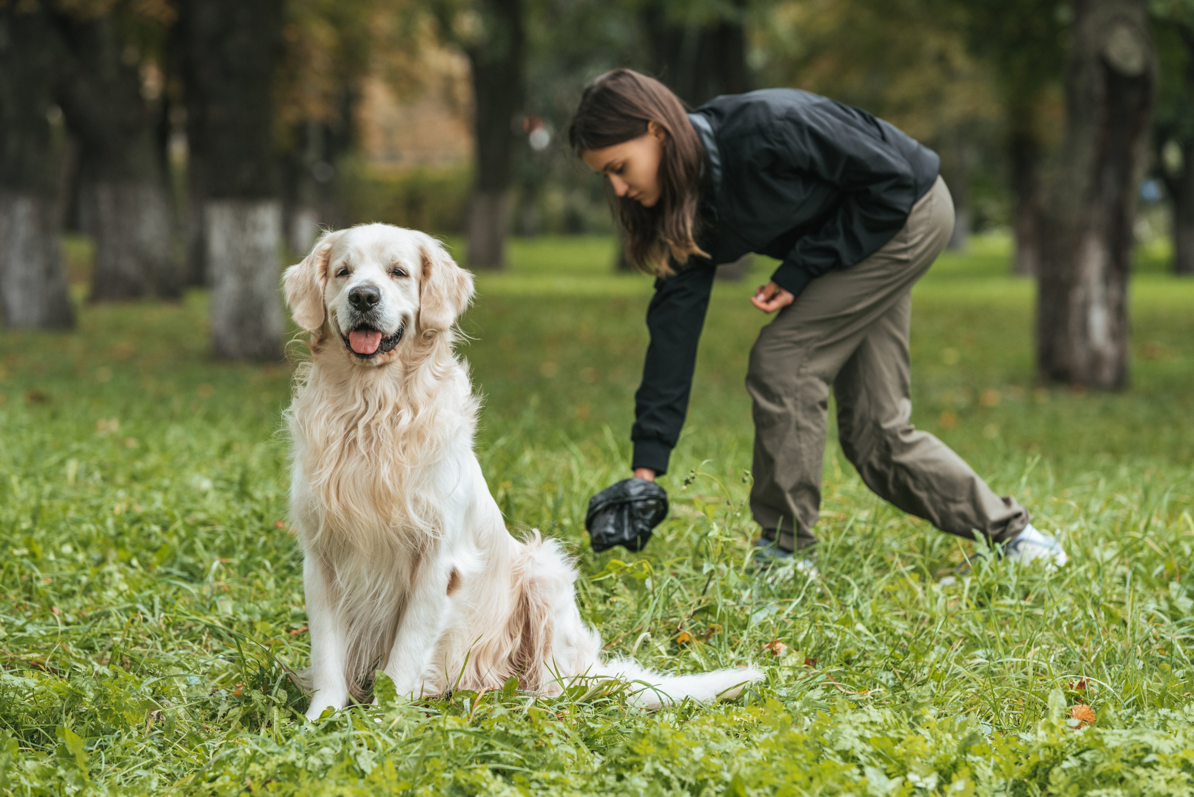 Turn Dog Waste into Compost with These Tips