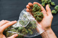 Unique Weed Names and What to Expect When Sparking Up