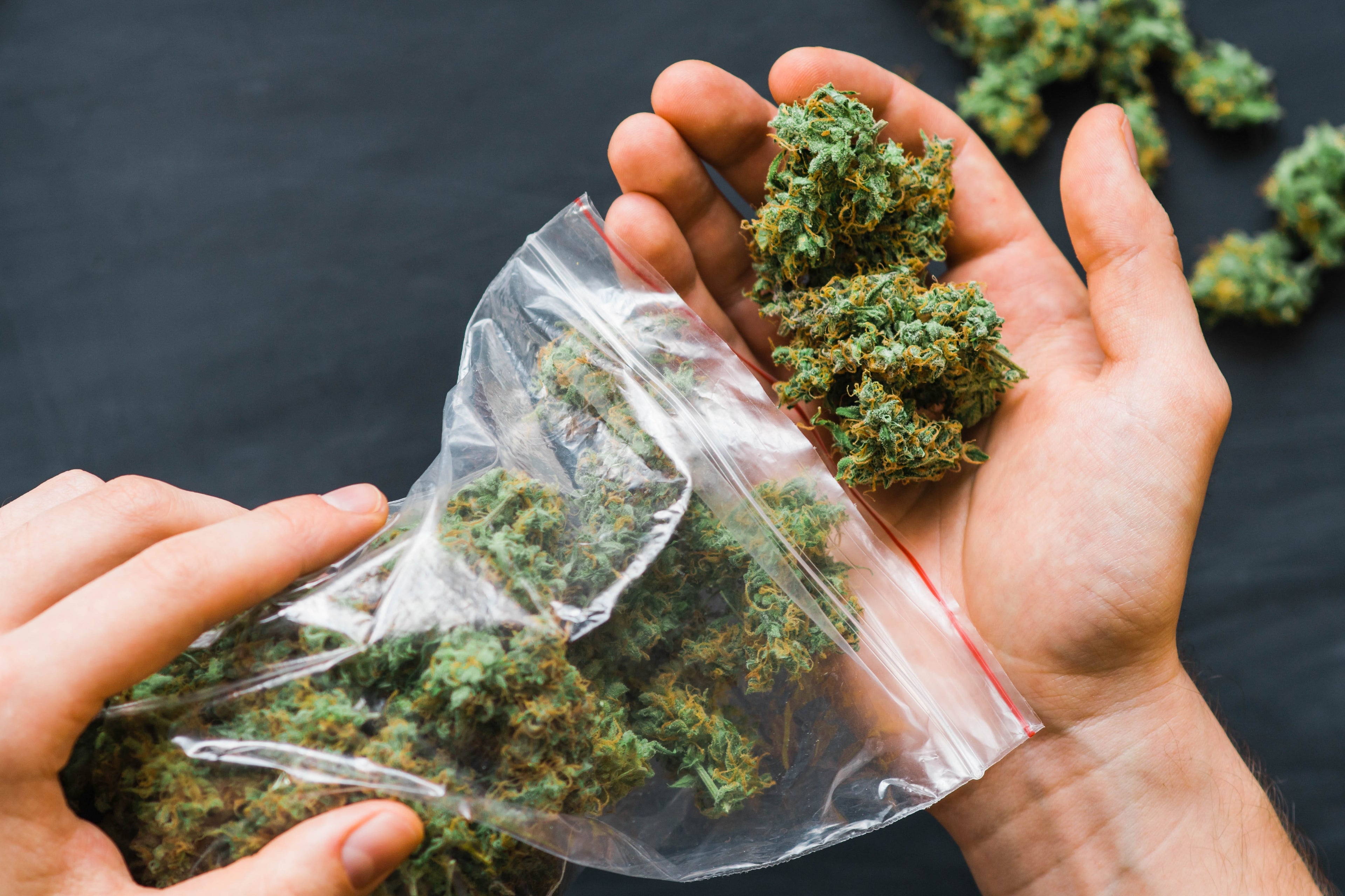 Unique Weed Names and What to Expect When Sparking Up
