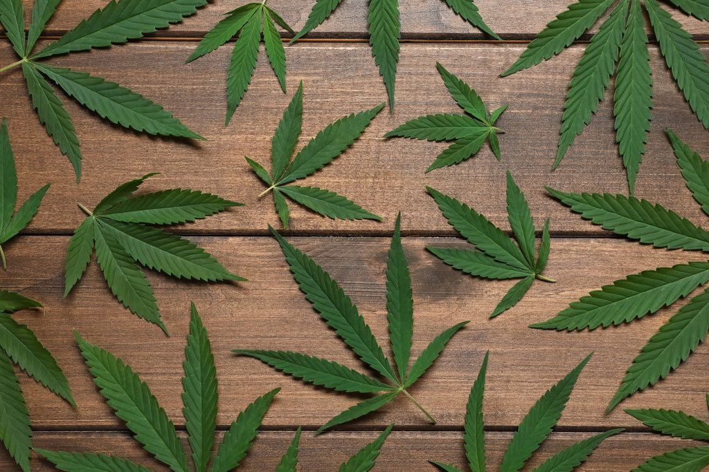Wake and Bake at These 420-Friendly Accommodations