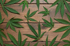 Wake and Bake at These 420-Friendly Accommodations