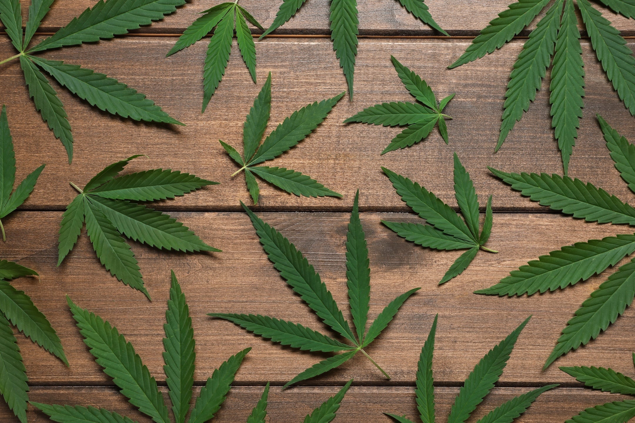 Wake and Bake at These 420-Friendly Accommodations