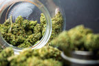 What's the Outlook for Cannabis in 2023?