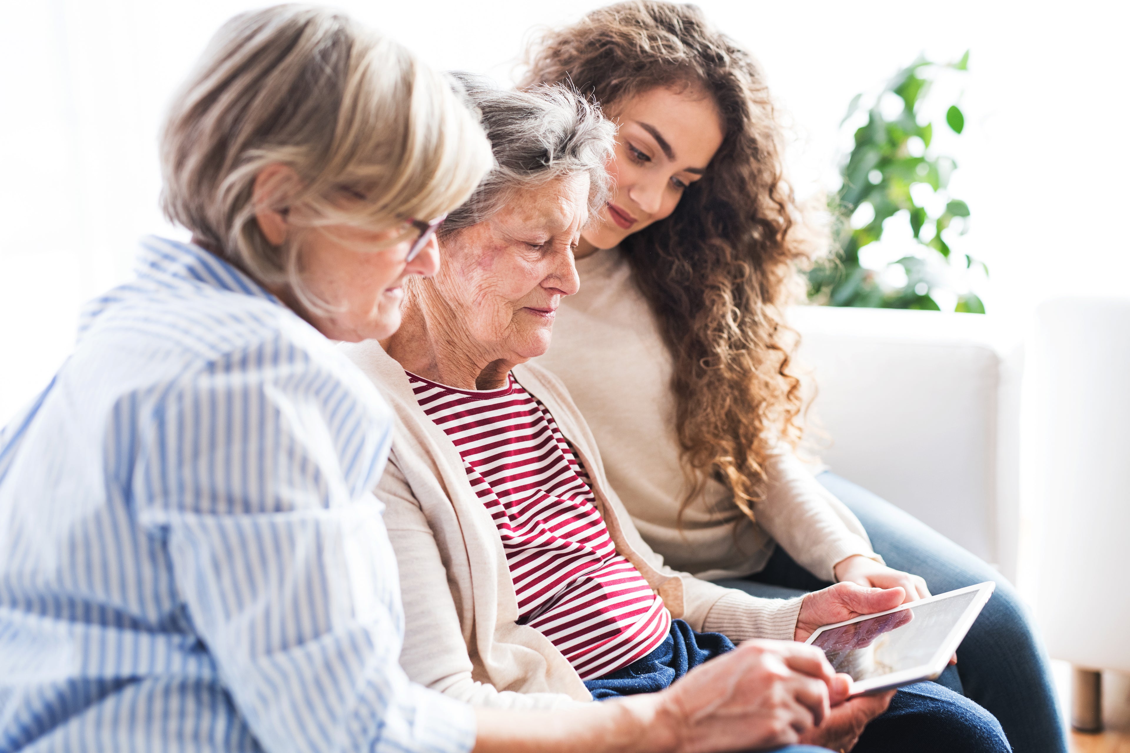 What the Whole Family Needs to Know About Seniors Getting Scammed