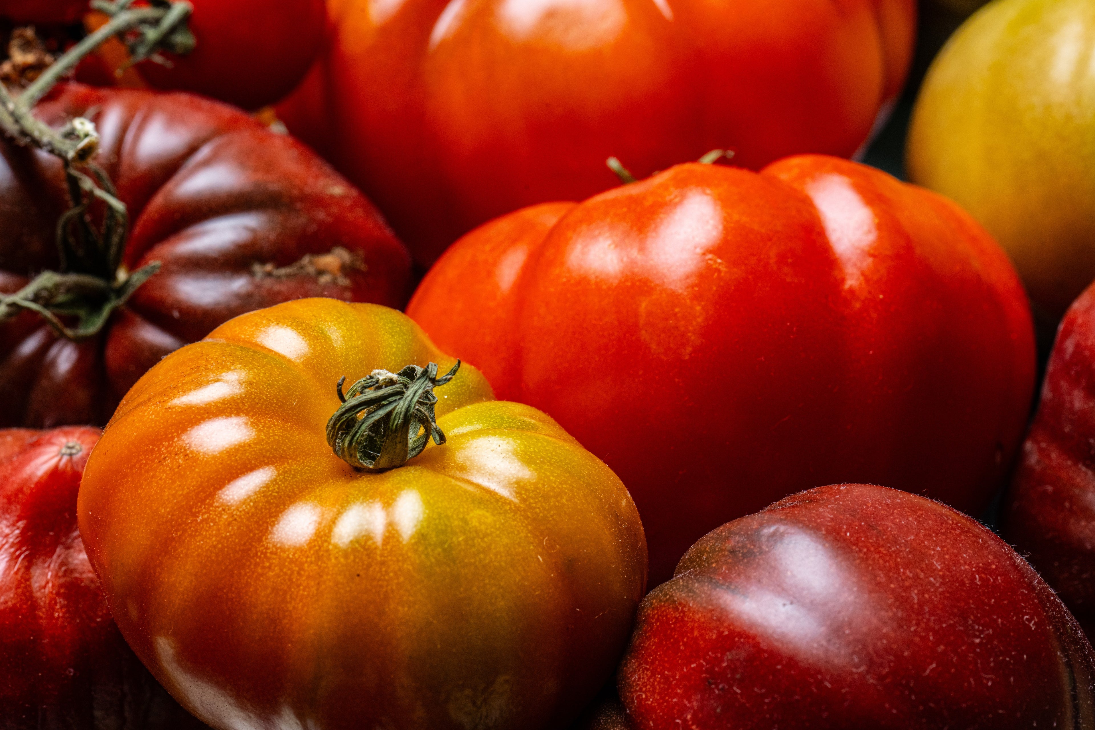 When Summer Meets Fall: 7 Seasonal Dishes to Savor Now