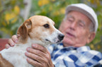 Why Your Golden Years Are the Perfect Time for Pet Ownership
