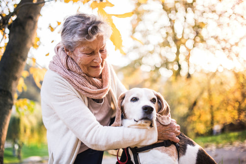 Why Your Golden Years Are the Perfect Time for Pet Ownership
