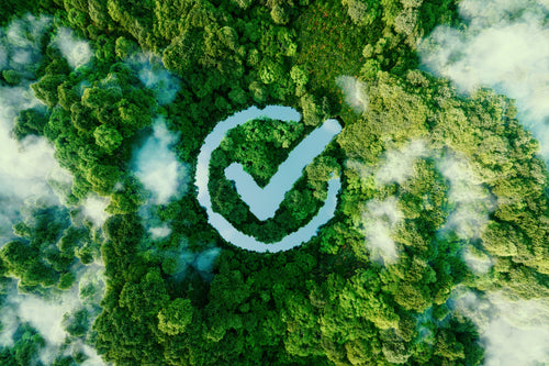 Why Voting in Elections Is One Thing You Can Do to Help the Planet